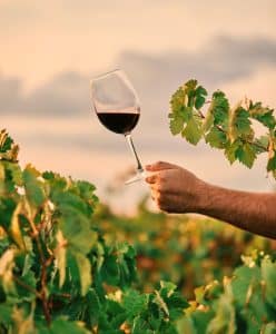Salon Wine Paris_Vinexpo