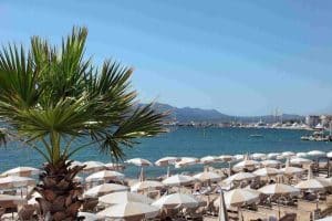 Salon professionnel cannes